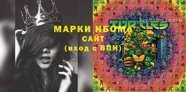 молекула духа Балахна