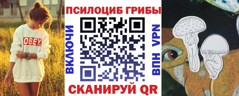 Псилоцибиновые грибы GOLDEN TEACHER  Сергач 